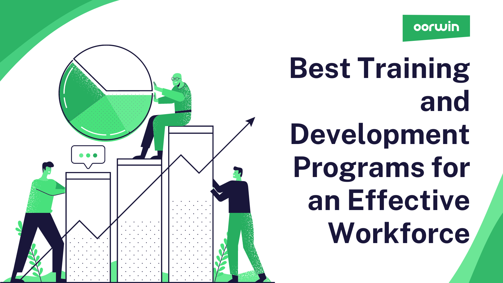 Effective Training and Development Programs for Employees