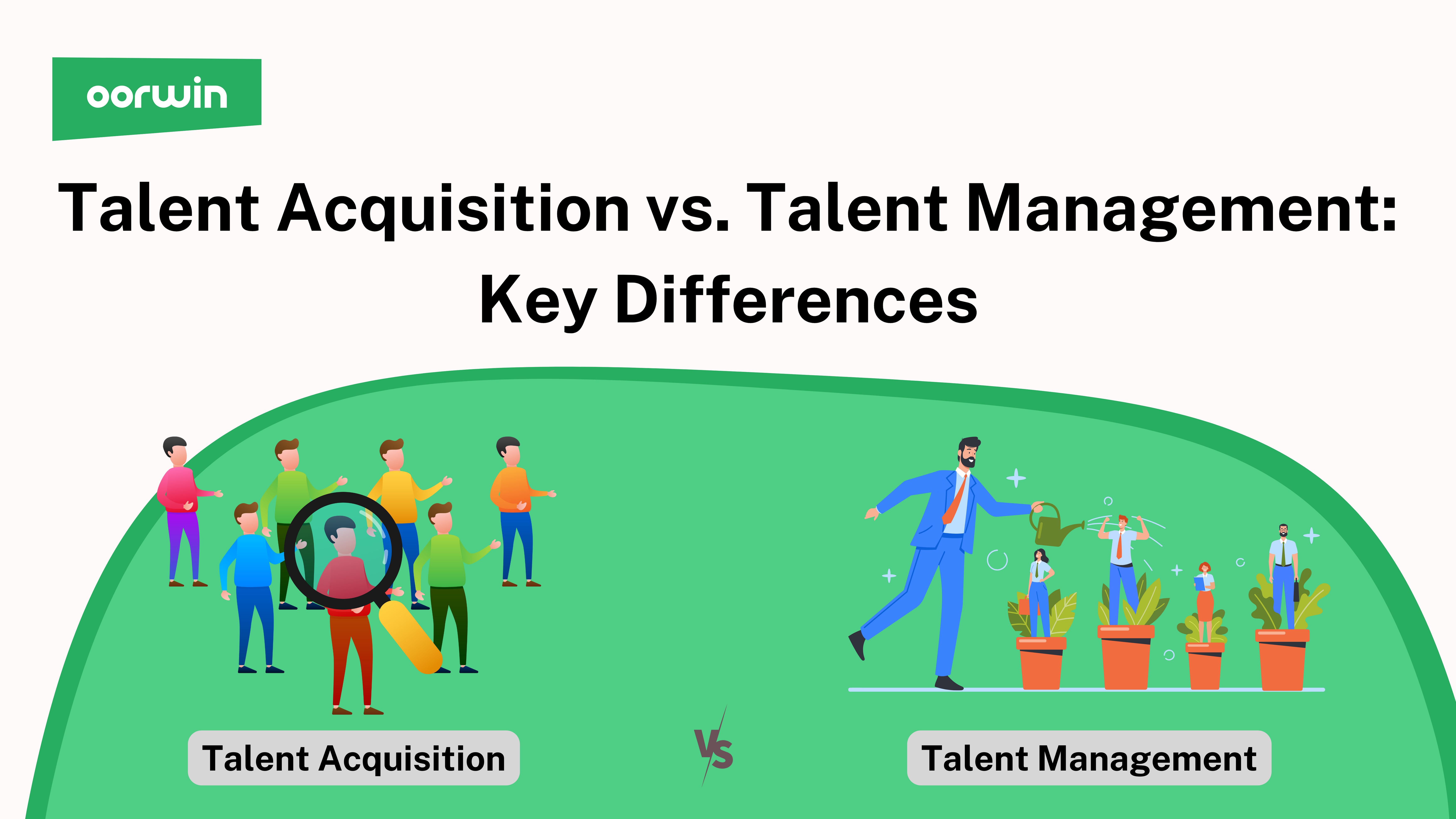Talent Acquisition vs. Talent Management: Key Differences